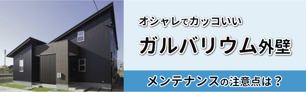 【ガルバリウム鋼板】外壁材のメンテナンスは自分でもできる？