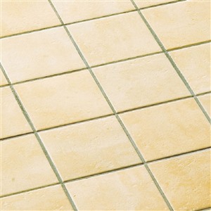 バレンシアコット