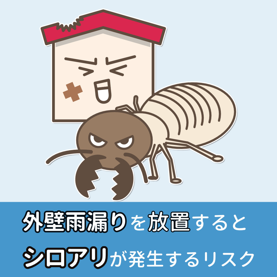 雨漏り シロアリ