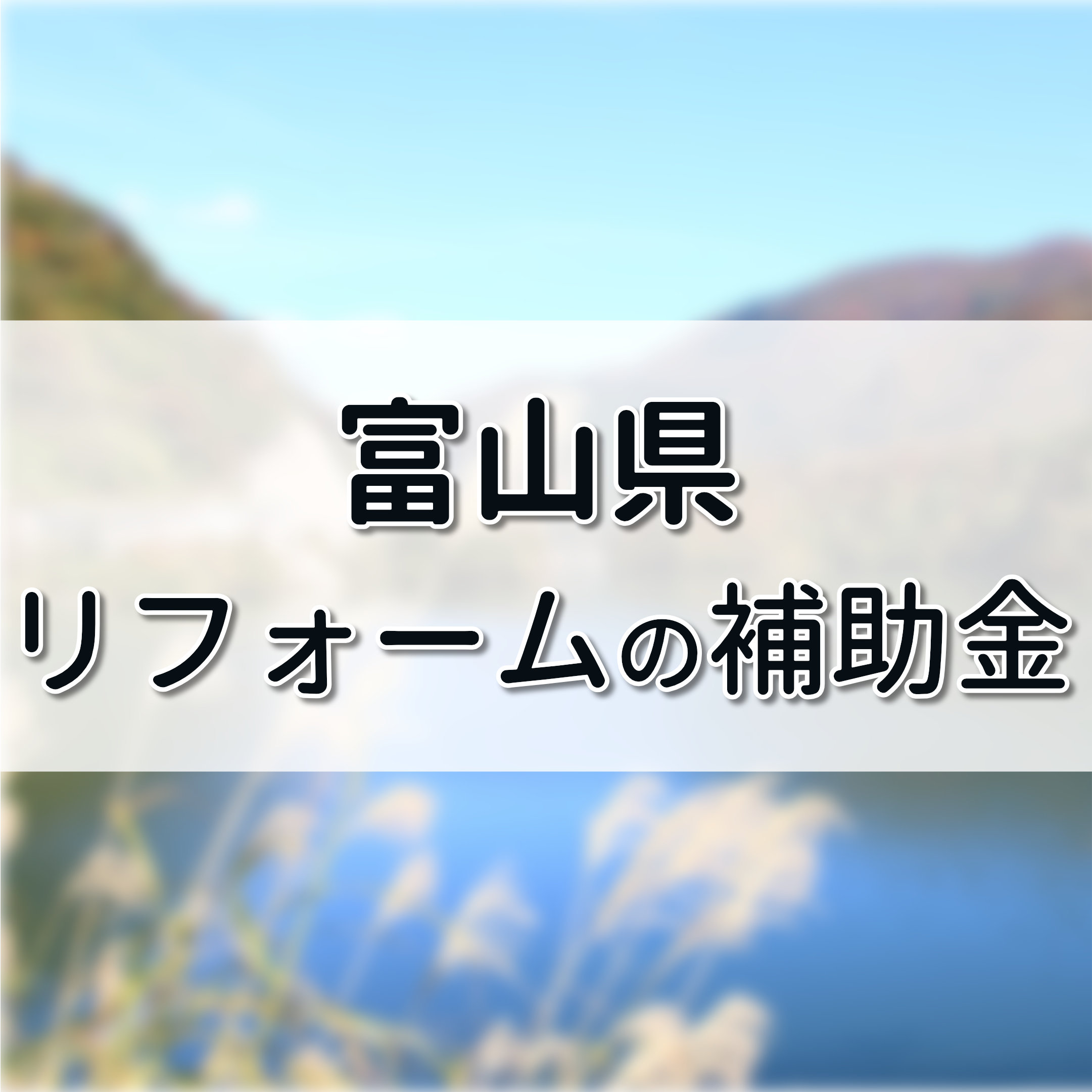 富山県 リフォーム 補助金,リフォーム 補助金 高岡市,富山市まちなか 補助金