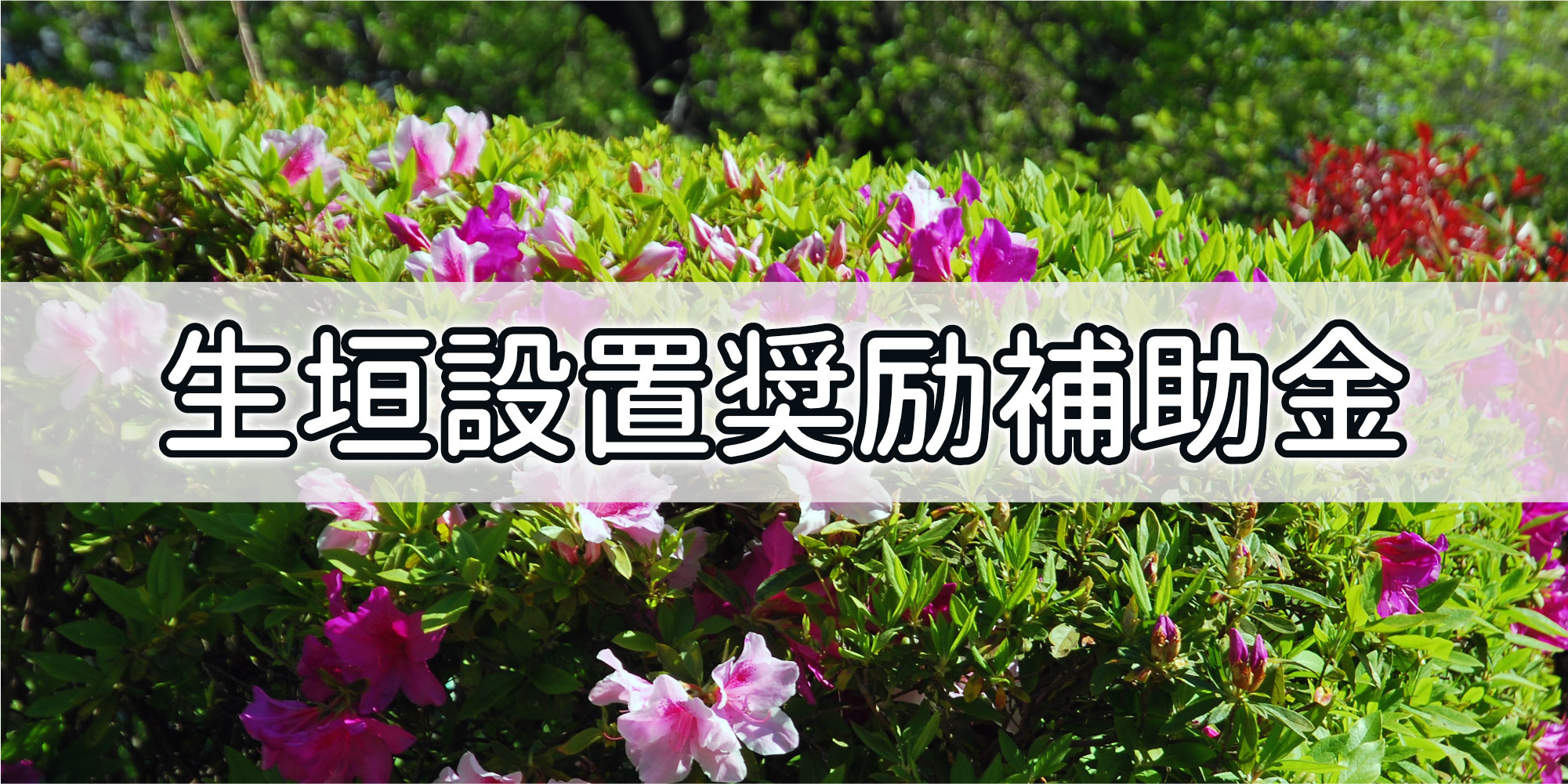 栃木市生垣設置奨励補助金